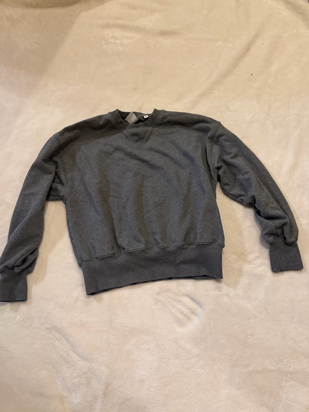 Aritzia - Grey Crewneck Sweatshirt